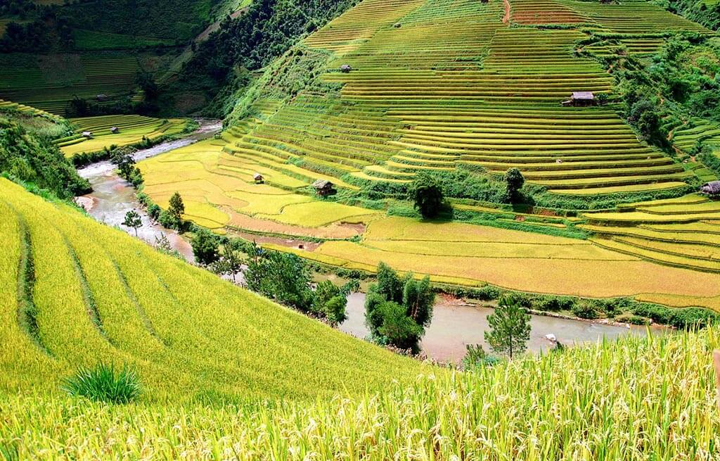 TOUR HÀ NỘI -YÊN BÁI - MÙ CĂNG CHẢI MÙA LÚA CHÍN GIÁ RẺ 
