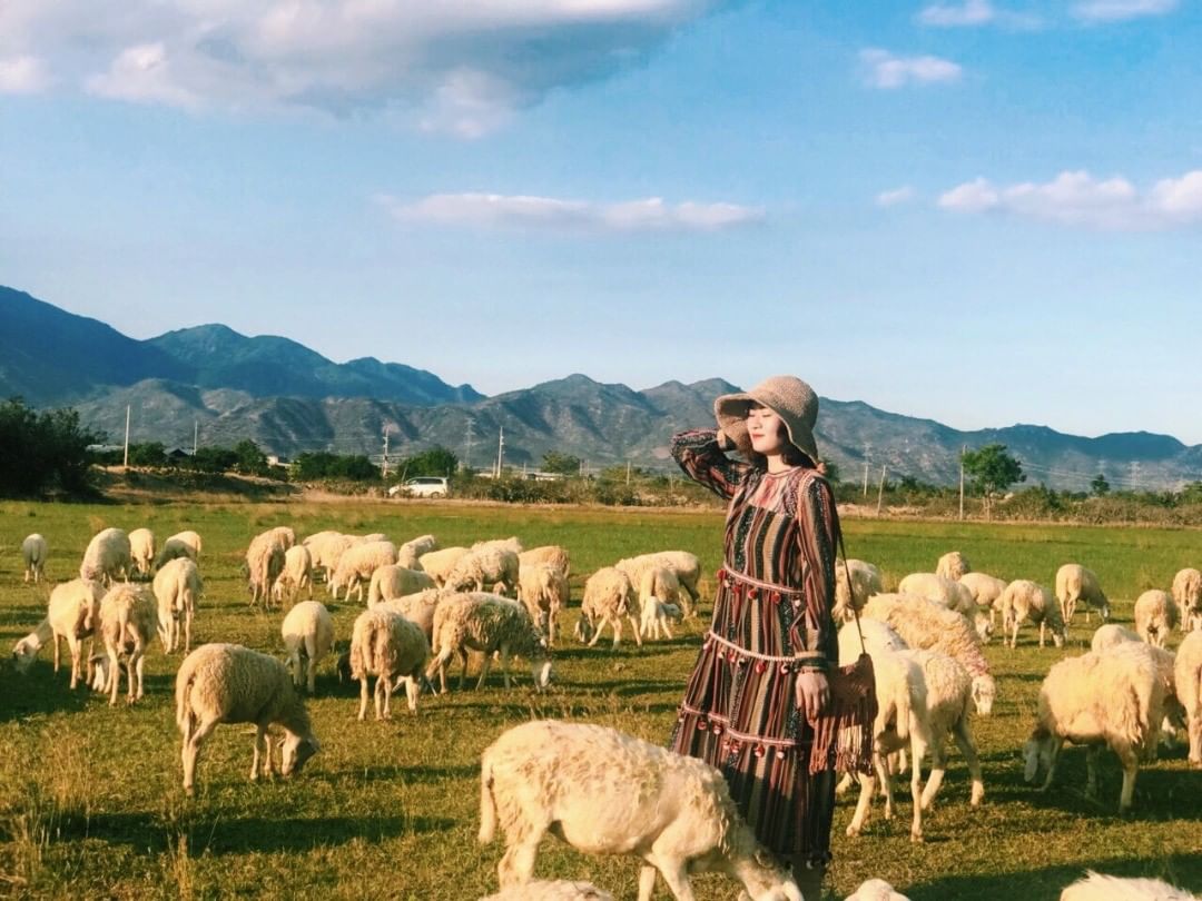 TOUR ĐẶC BIỆT NỐI 2 CUNG ĐƯỜNG BIỂN MIỀN TRUNG ĐẸP NHẤT VIỆT NAM NINH THUẬN – NHA TRANG KHỞI HÀNH TỪ HÀ NỘI VÀ CÁC TỈNH MIỀN BẮC HÈ NÀY ĐẾN VỚI ĐỒNG CỪU VƯỜN NHO VÀ NHỮNG VỊNH BIỂN THƠ MỘNG CÙNG SUMMIT TRAVEL 