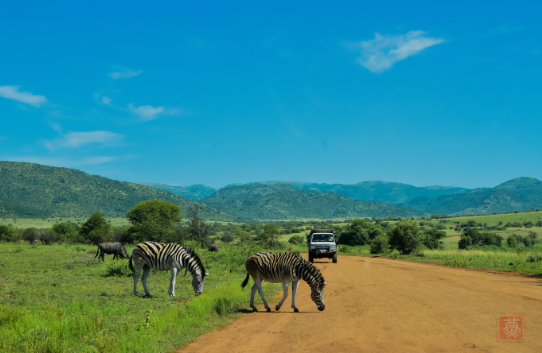 TOUR NAM PHI 2026 GIÁ RẺ TỪ HÀ NỘI TP HỒ CHÍ MINH VÙNG ĐẤT CỦA SẮC MÀU VĂN HÓA THỜI GIAN 8 NGÀY 7 ĐÊM  NGẮM CÁ VOI CHIÊM NGƯỠNG MÙA PHƯỢNG TÍM 