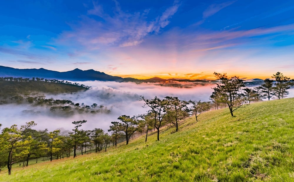 TOUR HÀ NỘI - NHA TRANG - ĐÀ LẠT HÀNH TRÌNH TỪ NƠI BIỂN XANH SÔI ĐỘNG ĐẾN VÙNG NÚI RỪNG ĐẠI NGÀN NGẬP TRÀN SẮC HOA      