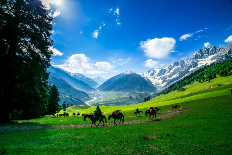 TOUR KASMIR ẤN ĐỘ GIÁ RẺ TỪ HÀ NỘI - DELHI – KASHMIR – AGRA – JAIPUR