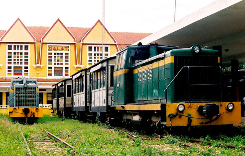 HÀ NỘI - ĐÀ LẠT - NÔNG TRẠI CÚN LANG BIANG - CHÙA LINH PHƯỚC